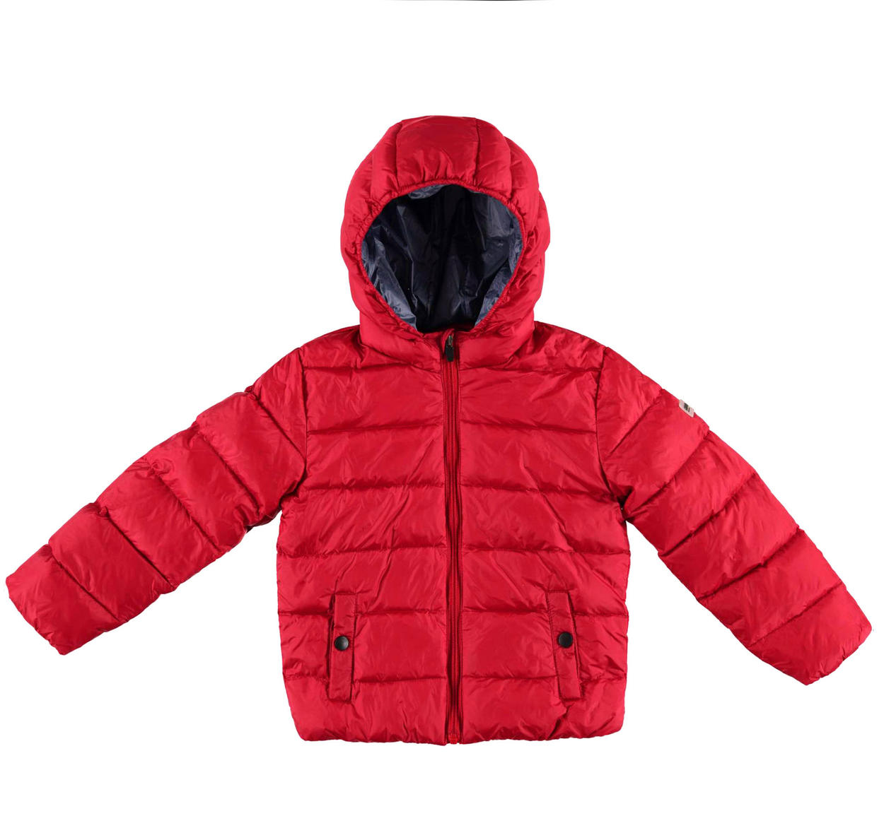 baby boy canada goose baby boy canada goose