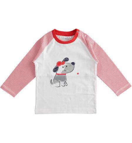 100% cotton crewneck with dog and striped sleeves for baby boy 0 to 18 months iDO ROSSO-2235
