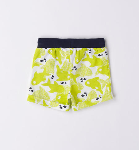 Short neonato squali BIANCO-VERDE-6WA1
